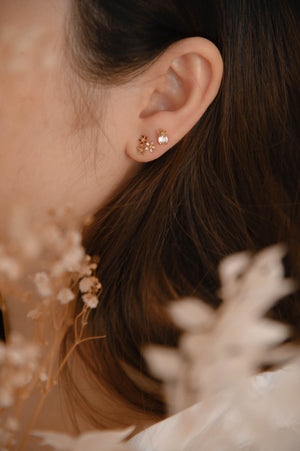 Ixora Studs
