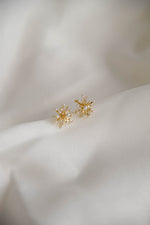Snow Crystal Studs