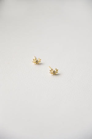 Dasher Studs