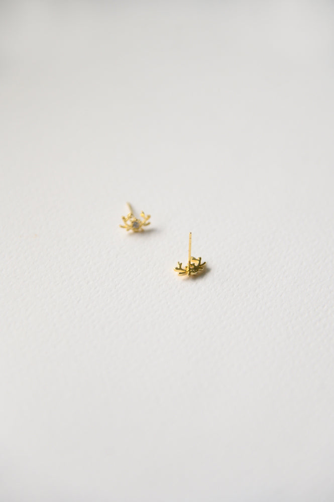 Dasher Studs