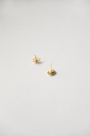Dasher Studs