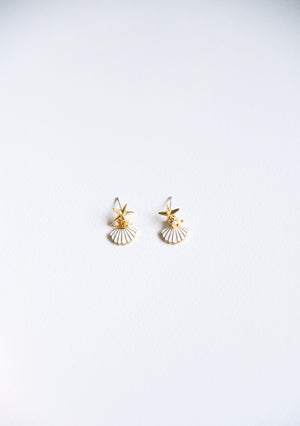 Bay seashell Earrings