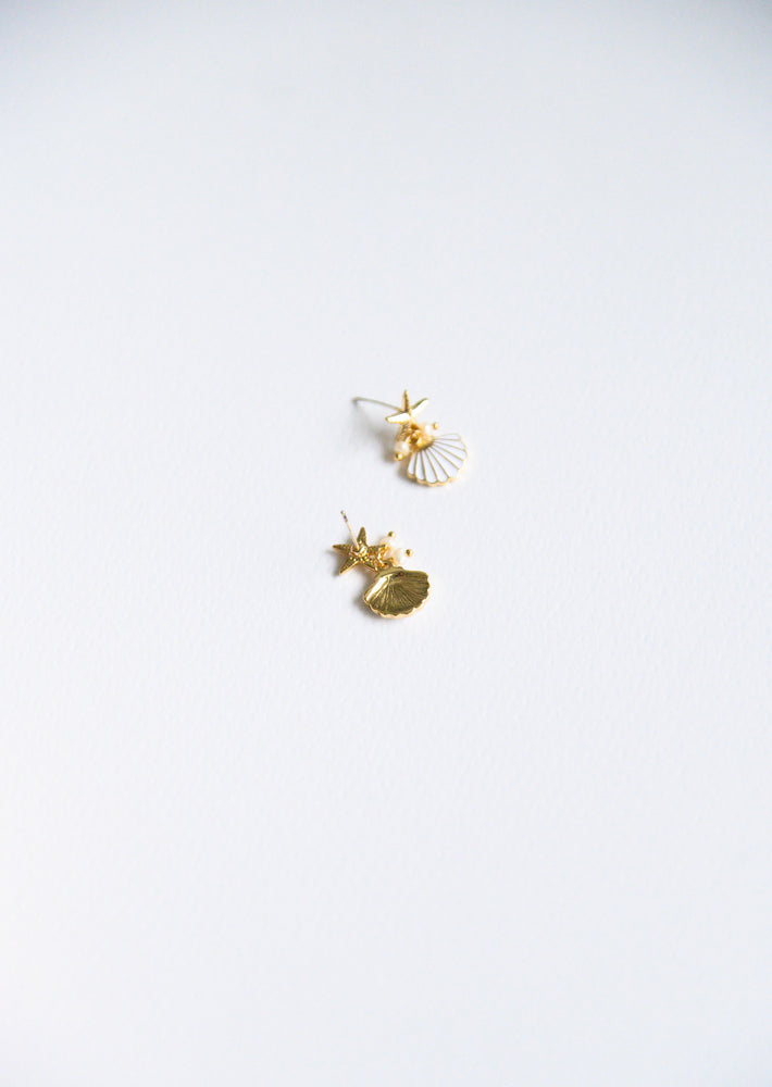Bay seashell Earrings