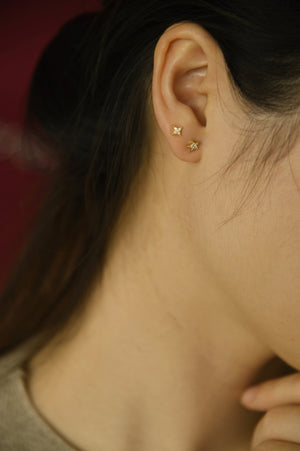 November Studs (5 earrings pack)