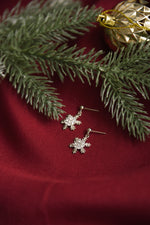 Winter Earrings