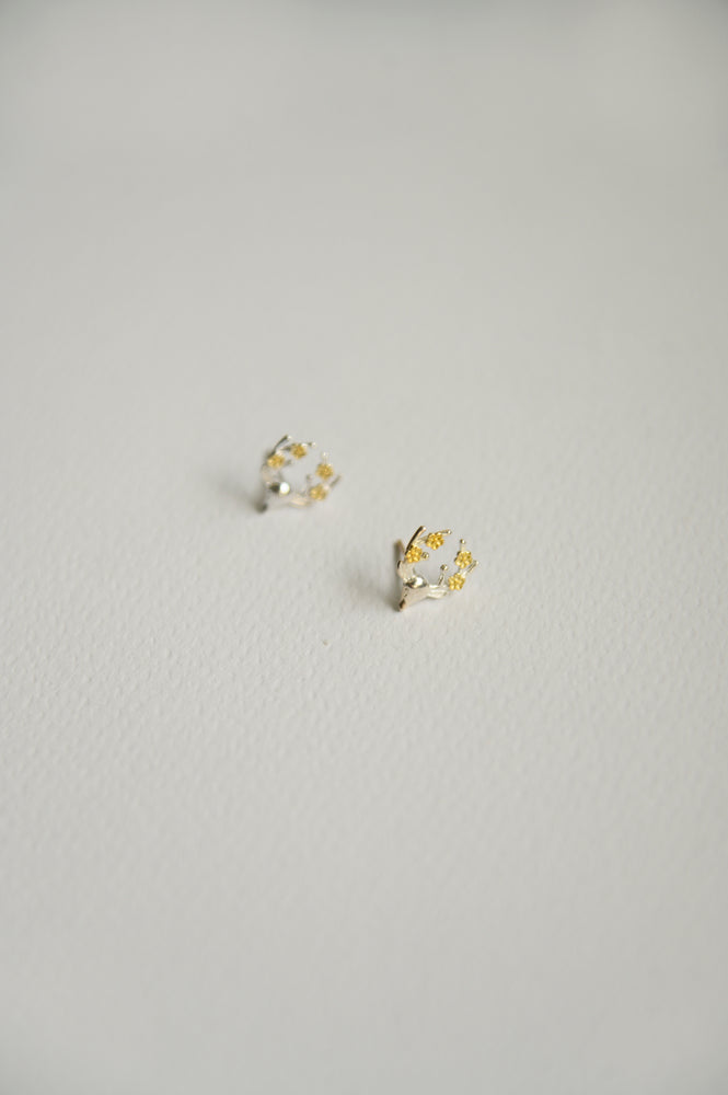 Vixen Studs