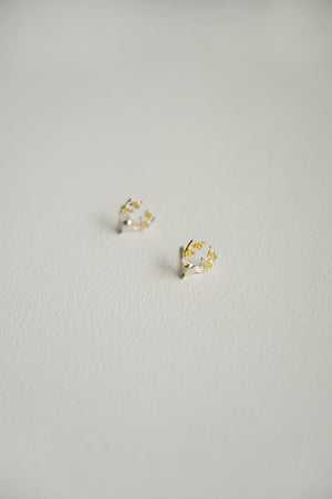 Vixen Studs