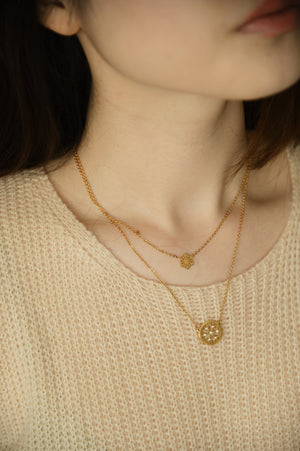 Titanium Steel - Noeleen Layered Necklace